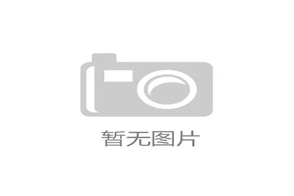 中生代力量占据半壁江山，球队处于兼具活力与经验的黄金年龄阶段。